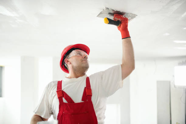 Best Water-Damaged Drywall Repair  in Terrebonne, OR